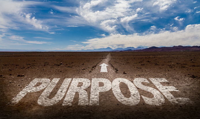 What Purpose Maximization Looks Like