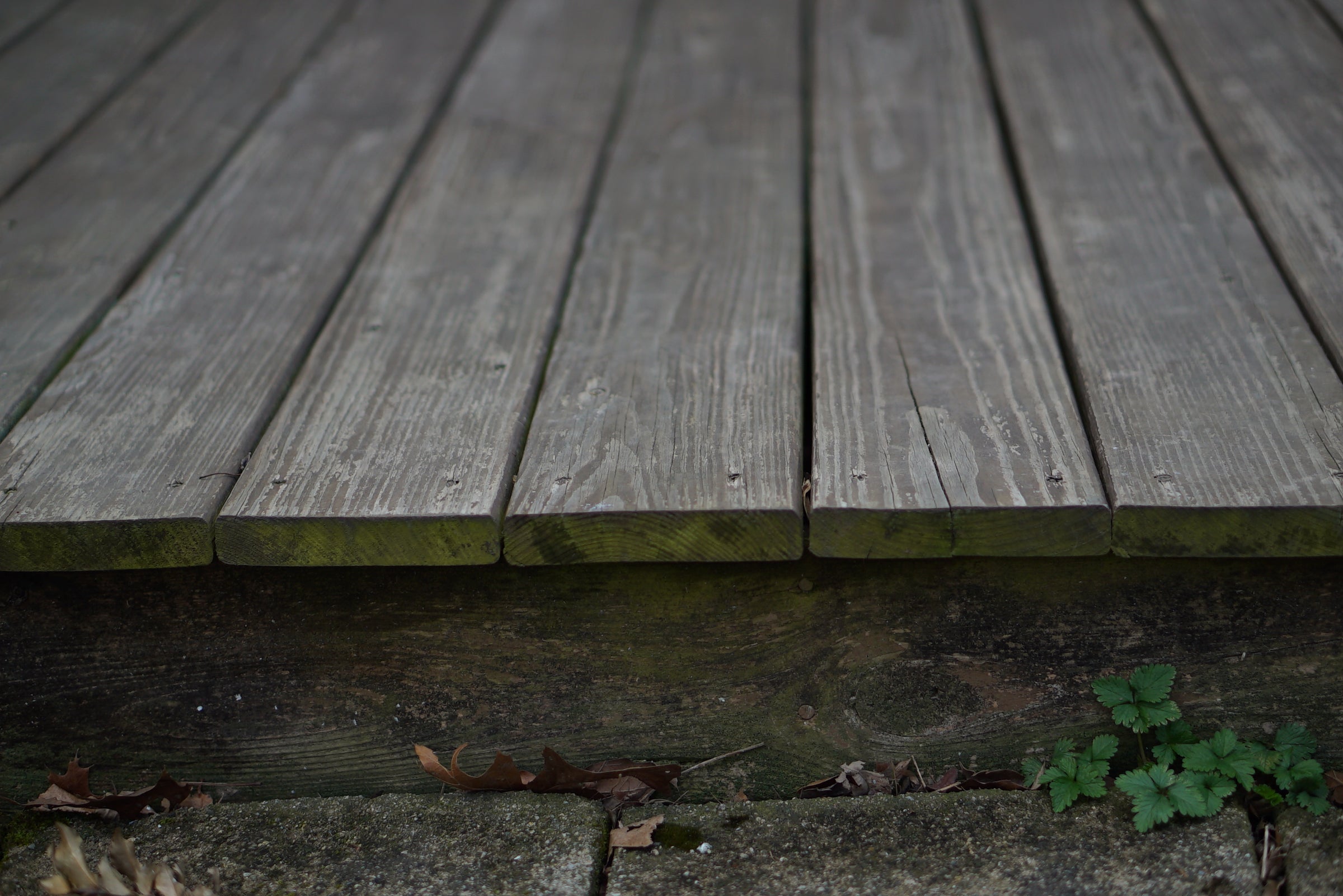 Weathered Wood